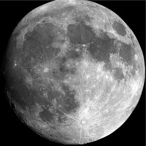 Meet your Posher, Brock